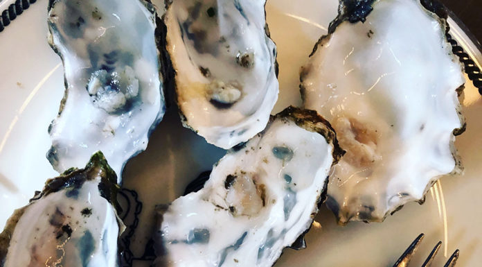 Oysters on a plate with lemon