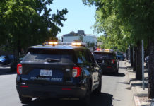 Police cars in Healdsburg,