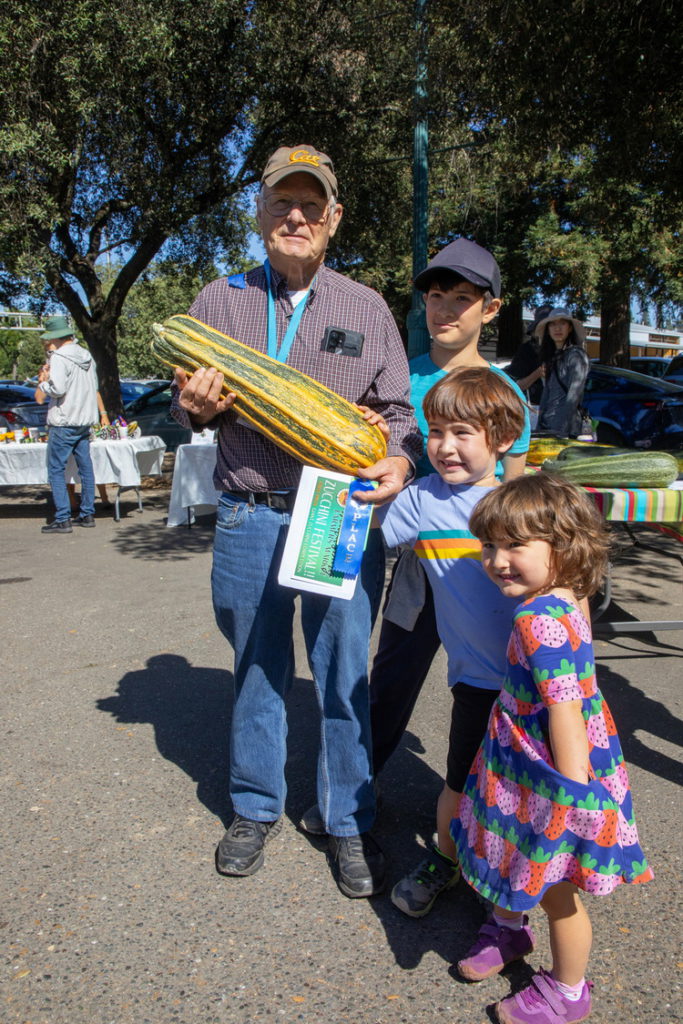 Prize-winning zucchini in Healdsburg