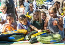 Girls at Healdsburg Farmers Market 2025