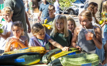Girls at Healdsburg Farmers Market 2025