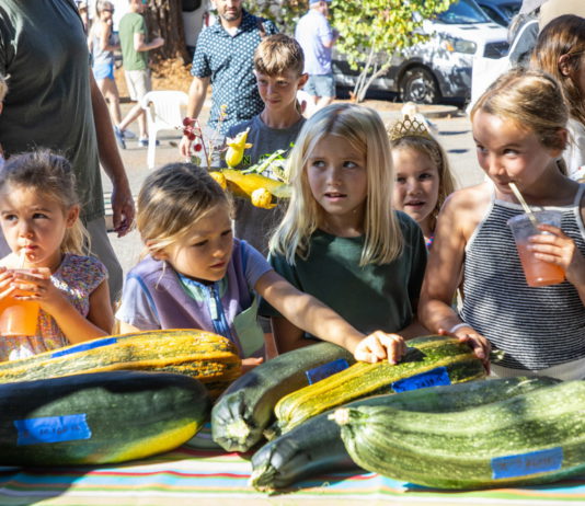Girls at Healdsburg Farmers Market 2025