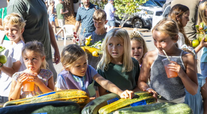 Girls at Healdsburg Farmers Market 2025