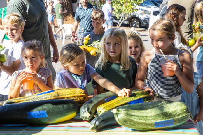 Girls at Healdsburg Farmers Market 2025