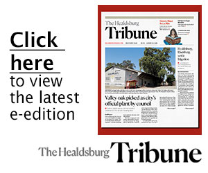Click image to launch media