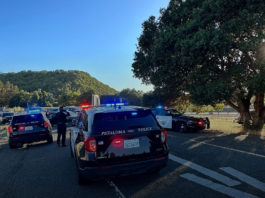 Petaluma Police apprehend suspect couple