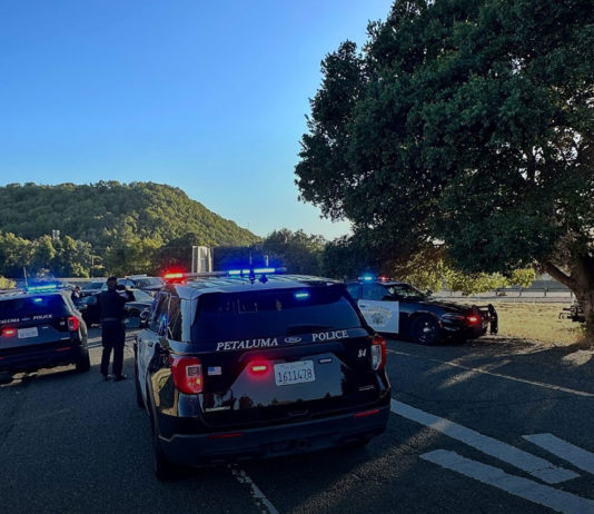 Petaluma Police apprehend suspect couple