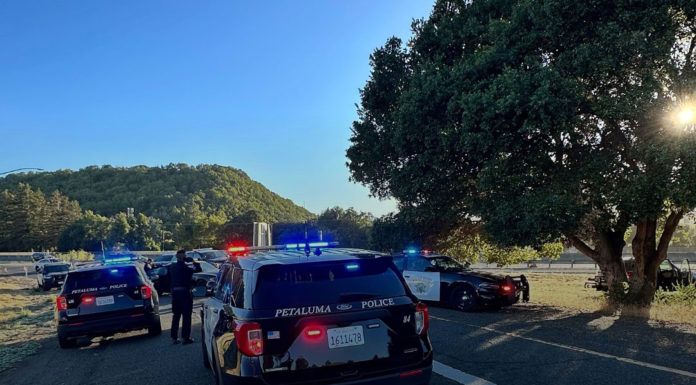 Petaluma Police apprehend suspect couple