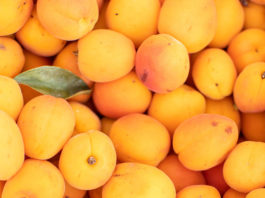 Flat of market apricots