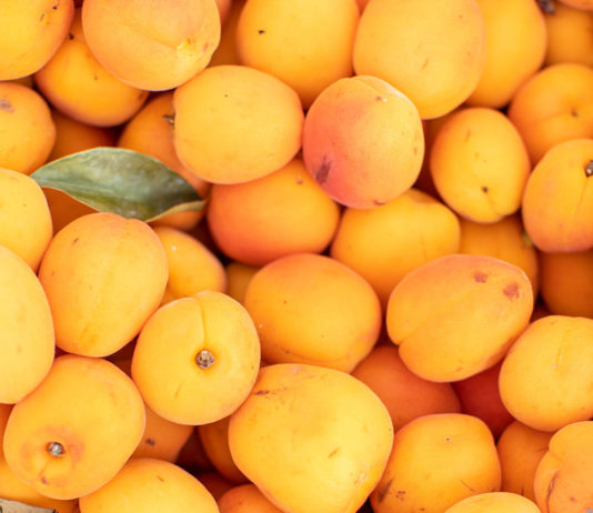 Flat of market apricots