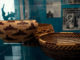 Pomo baskets in exhibit