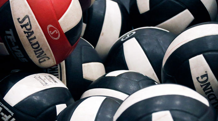 Volleyballs