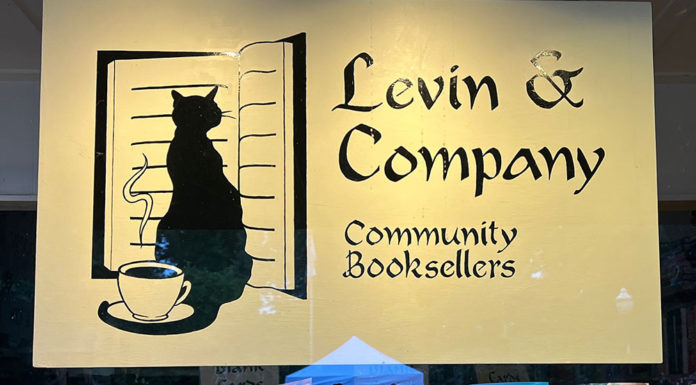 Window display of Levin & Company