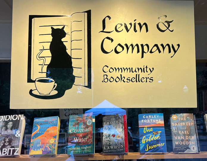 Window display of Levin & Company