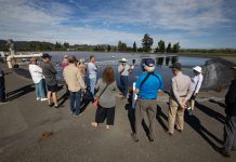 Photos: Wastewater solar array serves a double purpose