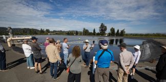Photos: Wastewater solar array serves a double purpose