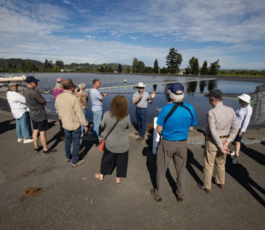 Photos: Wastewater solar array serves a double purpose