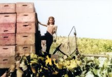 Back when, Fitch Mountain was a wild game refuge… girl in grape harvest truck