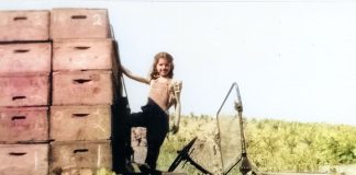 Back when, Fitch Mountain was a wild game refuge… girl in grape harvest truck