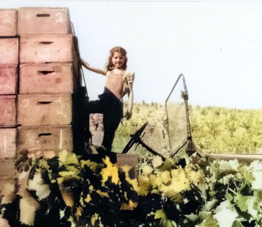 girl in grape harvest truck