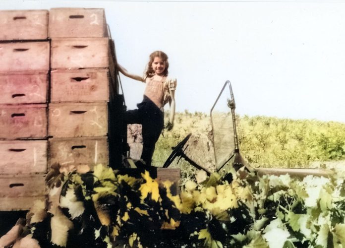 girl in grape harvest truck