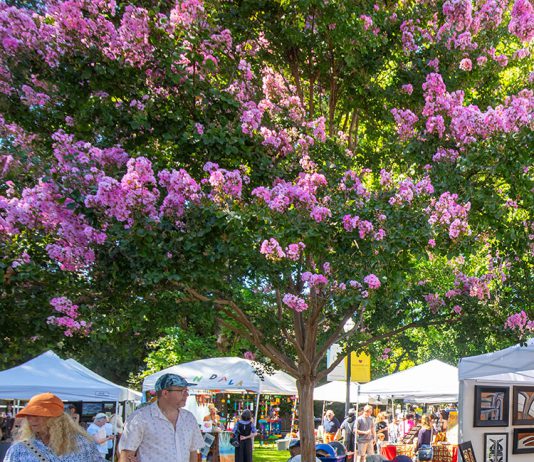 Healdsburg Arts Festival in the Plaza