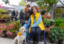 Family and companion in the Gift Horse garden