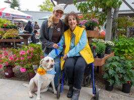 Family and companion in the Gift Horse garden