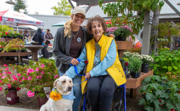 Family and companion in the Gift Horse garden