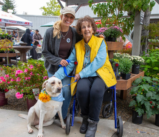 Family and companion in the Gift Horse garden