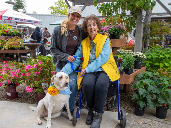 Family and companion in the Gift Horse garden