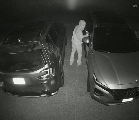 Surveillance camera image of car theft in progress