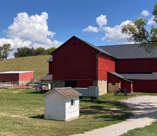 Snapshot: The OG conservationists Amish country in Ohio