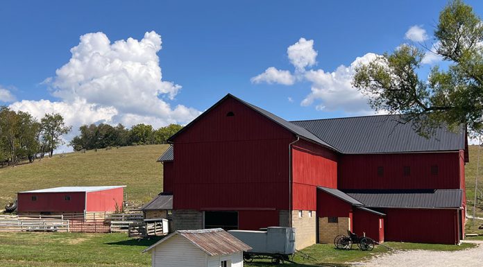 Snapshot: The OG conservationists Amish country in Ohio
