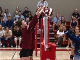 Vollleyball players at the net