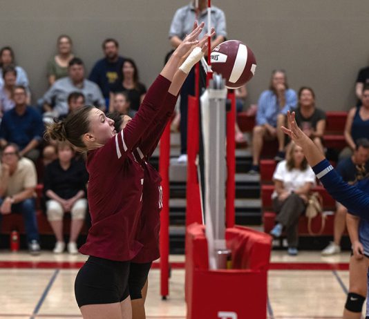 Vollleyball players at the net