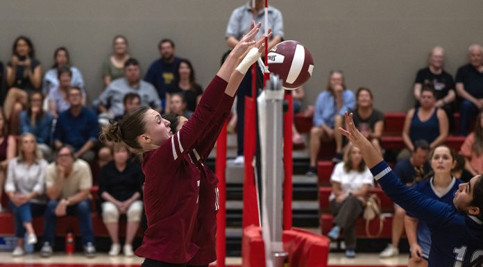 Vollleyball players at the net
