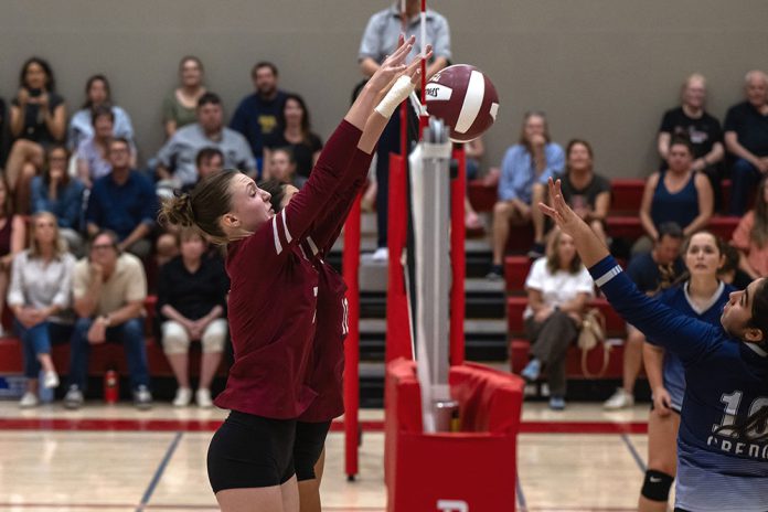 Vollleyball players at the net