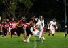 Greyhounds still chasing victory Frank Rea carries the ball