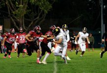 Greyhounds still chasing victory Frank Rea carries the ball