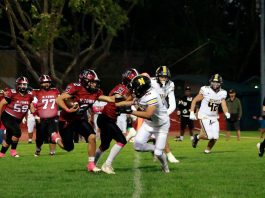 Greyhounds still chasing victory Frank Rea carries the ball