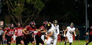 Greyhounds still chasing victory Frank Rea carries the ball
