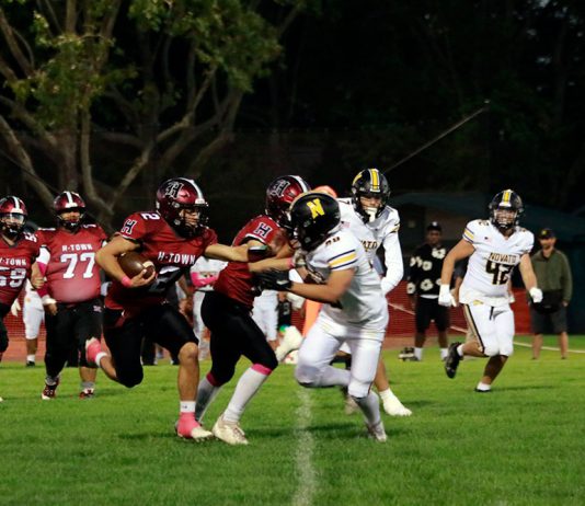 Greyhounds still chasing victory Frank Rea carries the ball