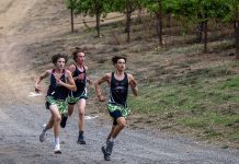 Cross country course record falls at Hoot Owl Healdsburg cross country team at Hoot Owl