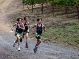 Cross country course record falls at Hoot Owl Healdsburg cross country team at Hoot Owl