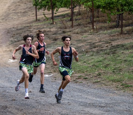 Cross country course record falls at Hoot Owl Healdsburg cross country team at Hoot Owl