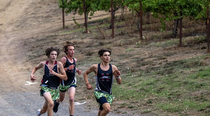 Healdsburg cross country team at Hoot Owl