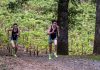 Greyhounds set the pace for State Greyhounds runners at Hoot Owl Vineyards