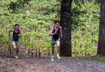Greyhounds set the pace for State Greyhounds runners at Hoot Owl Vineyards