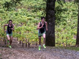 Greyhounds set the pace for State Greyhounds runners at Hoot Owl Vineyards
